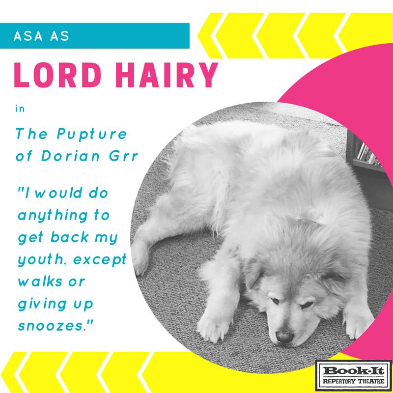 Brightly colored social media post with a photo of large dog lying on the floor. He is fluffy.
