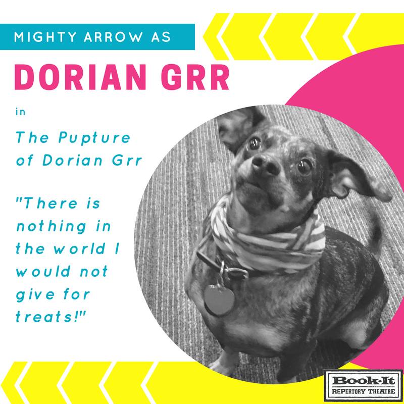 Brightly colored social media post with a photo of a small, but mighty dachshund. Arrow is wearing a little scarf.